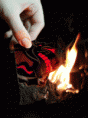 /album/galeria-de-fotos/photofunia-2cd6961-gif/